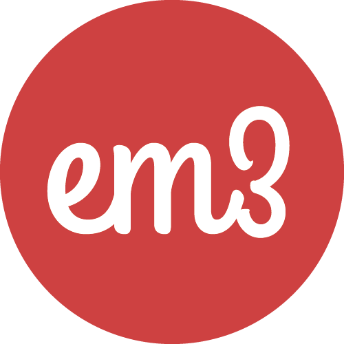EM3 Services specializing in web development, web design, and ecommerce solutions